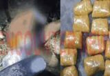 punjab drug case