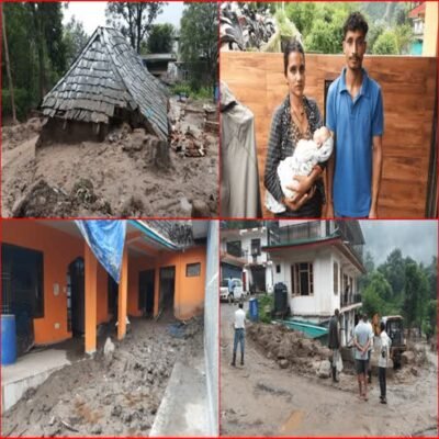 mandi news