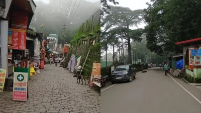 shimla news