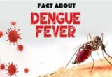 Dengue fever