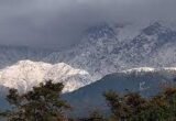 Kangra