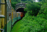 Toy Train