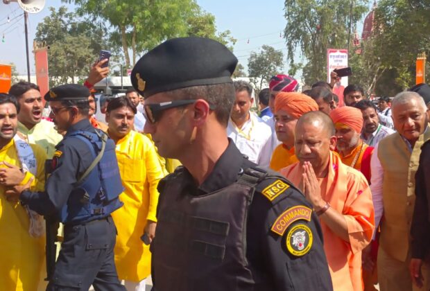 Yogi111