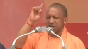 yogi