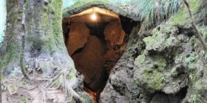 Cave1