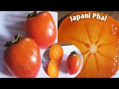 Japani