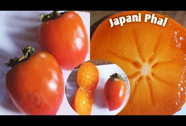 Japani