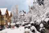 Snow55