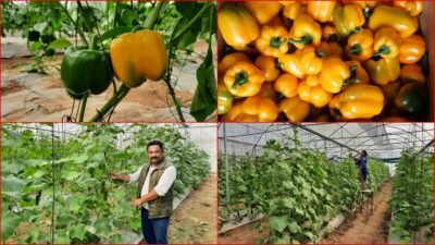 1200 675 20230628 Thumbnail 16x9 Farmer