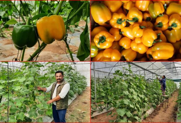 1200 675 20230628 Thumbnail 16x9 Farmer