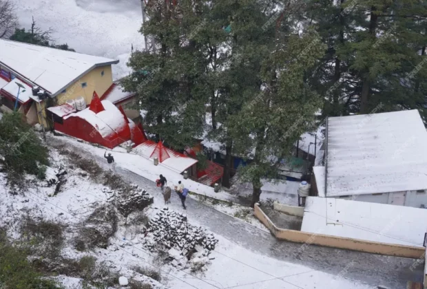 Snowfall shimla
