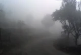 Weather