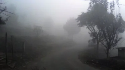 Weather