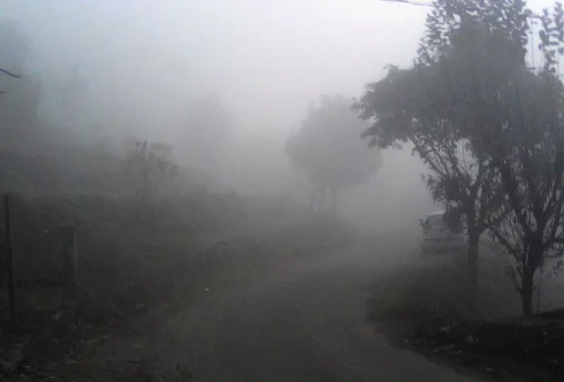 Weather