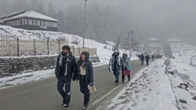 Snowfall News