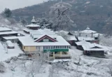 snowfoll shimla Narkanda