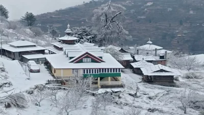 snowfoll shimla Narkanda