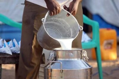 Milk