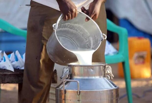 Milk