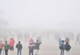 shimla
