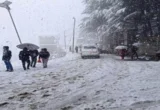 Himachal Snowfall shimla