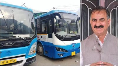 Hp E Buses