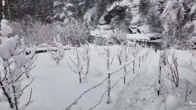 Snowfall