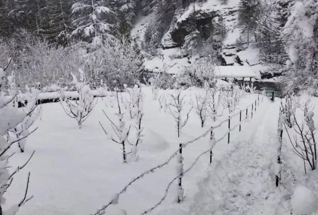 Snowfall