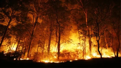 Uttarakhand Forest Fire