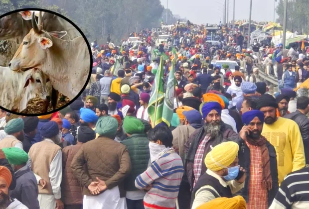 Farmers Protest
