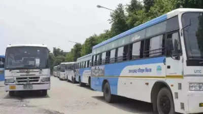 Bus