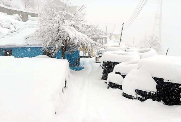 Snow1