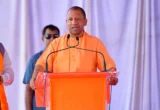Yogi