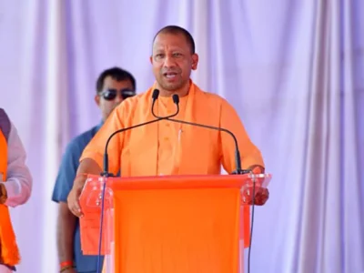 Yogi