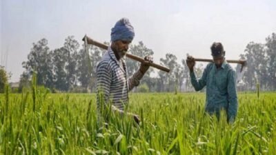 Himachal Kisan