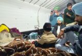 Jagjeet