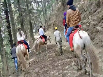 Kufri