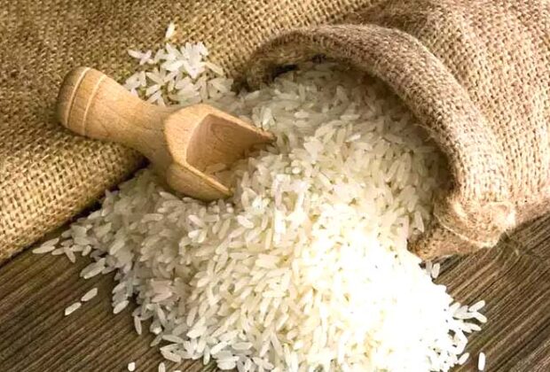 Rice