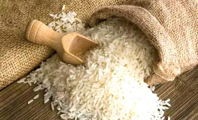 Rice