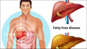Liver