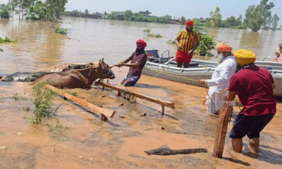 Punjab
