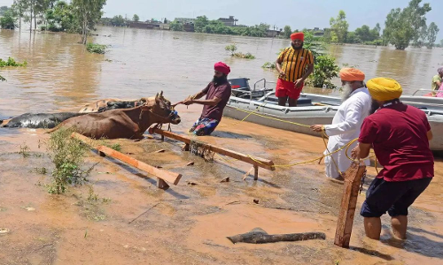 Punjab