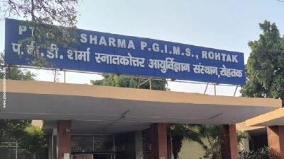 Pgi Rohtak