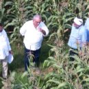 Icar–iimr And Gourmet Popcornica Collaboration Paves The Way For An Aatmanirbhar Popcorn Maize Ecosystem