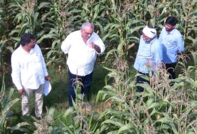 Icar–iimr And Gourmet Popcornica Collaboration Paves The Way For An Aatmanirbhar Popcorn Maize Ecosystem