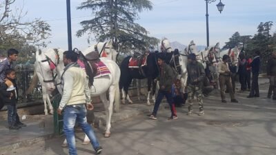 Ghora