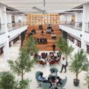 Galgotias University Awarded Rs. 42 Lakh Research Grant By Tih Iot, Iit Bombay To Develop Intelligent Ripeness Detection