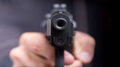 Gun