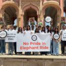 World Animal Protection Calls For End To Elephant Rides Everywhere On Occasion Of Save The Elephant Day