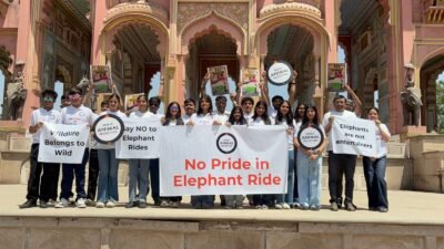 World Animal Protection Calls For End To Elephant Rides Everywhere On Occasion Of Save The Elephant Day